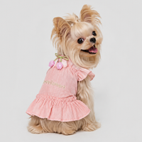 Lace Suspender Mini Dress for Schnauzer