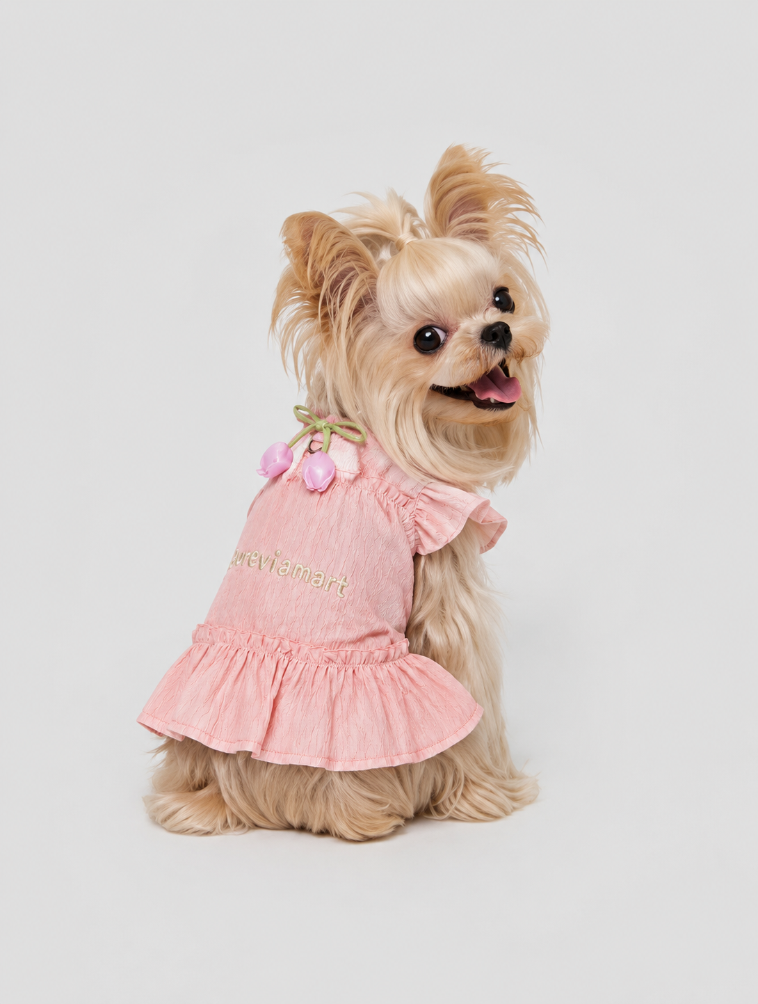 Lace Suspender Mini Dress for Schnauzer
