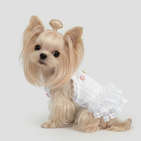 Outdoor Anti-Stain Walkable Pet Dress