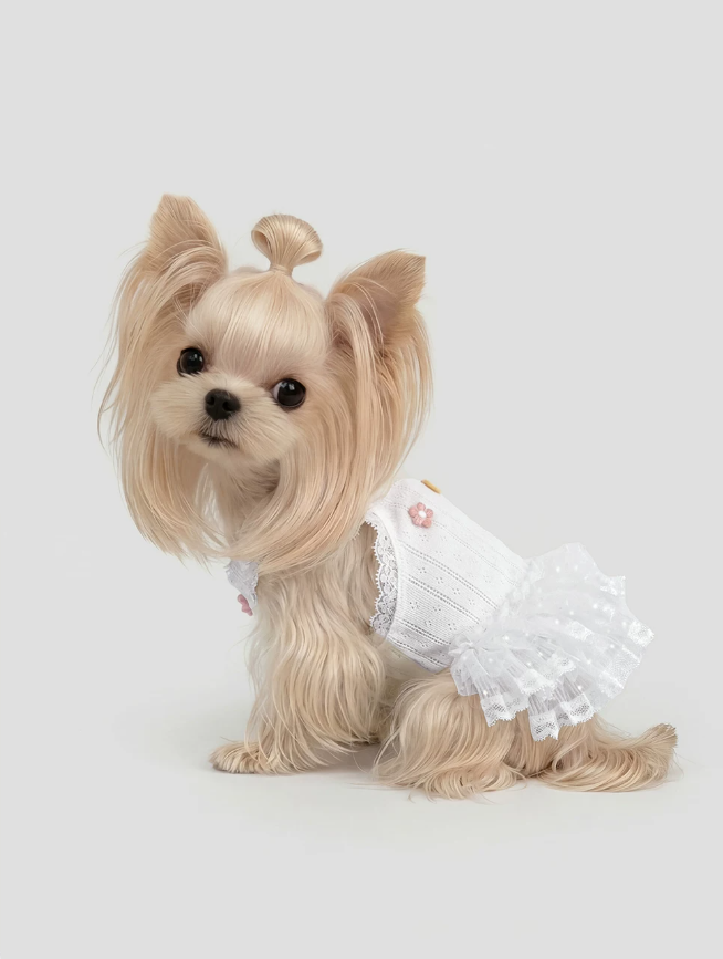 Outdoor Anti-Stain Walkable Pet Dress
