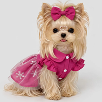 Convertible Leash-Friendly Princess Dog Dress
