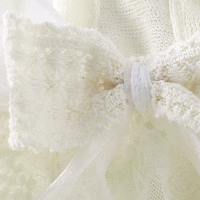Elegant Lace Suspender Ceremony Pet Dress