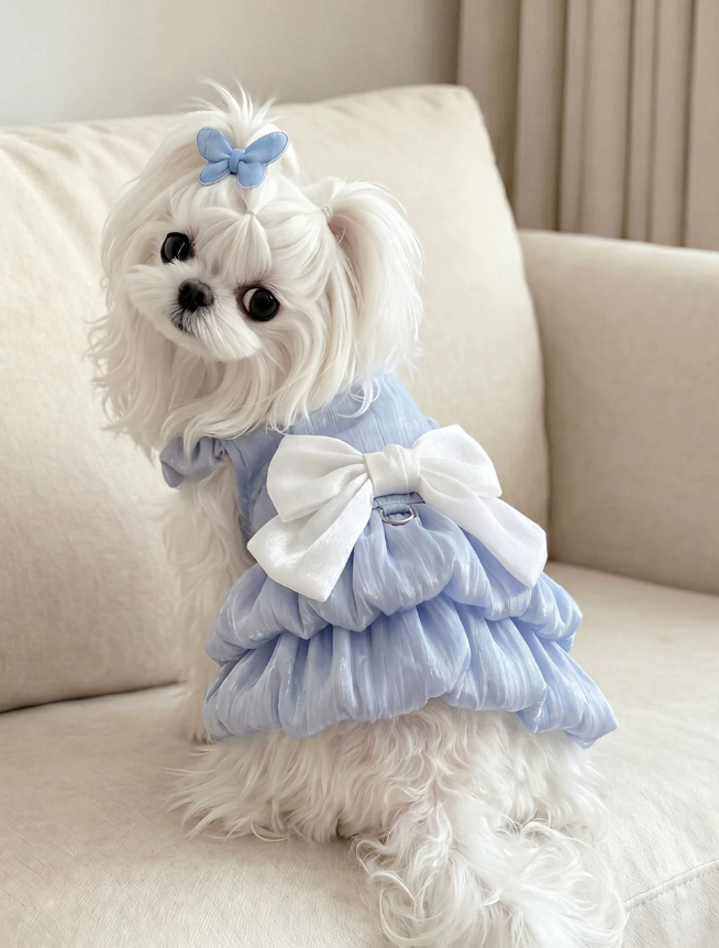 Maltese Summer Breeze Princess Dress Leash Edition