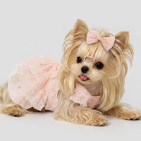 Classic Lace Princess Dress for Small Breeds