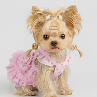 Bichon Frise Walkable Princess Leash Dress