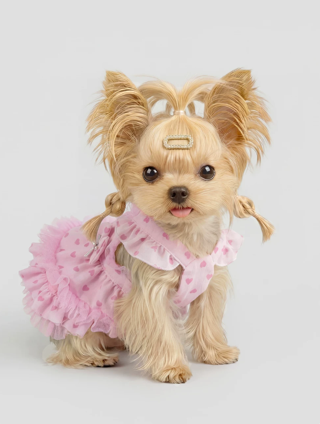 Bichon Frise Walkable Princess Leash Dress