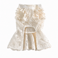 Lace Bridal-Inspired Puppy Gown