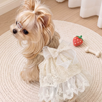 Elegant Lace Suspender Ceremony Pet Dress
