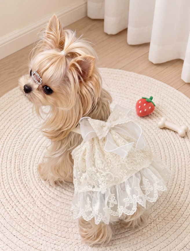 Elegant Lace Suspender Ceremony Pet Dress