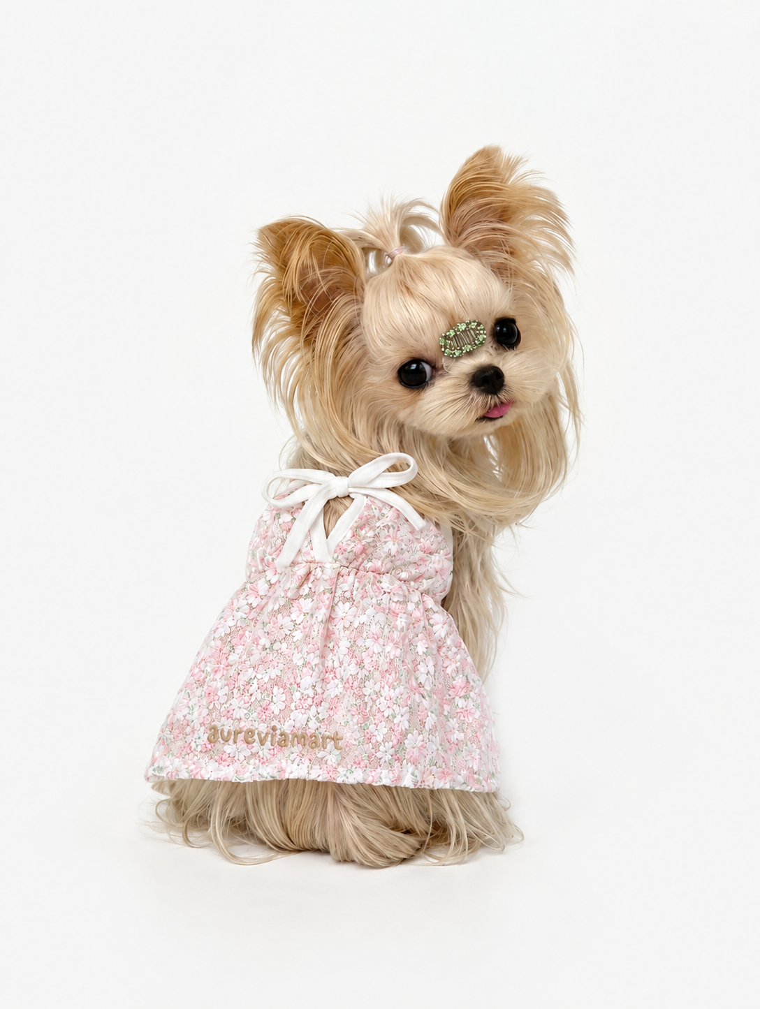 Everyday Protection Small Dog Summer Dress –