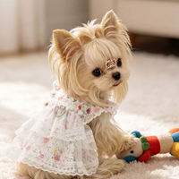 Floral Garden Walk Harness Puppy Dress
