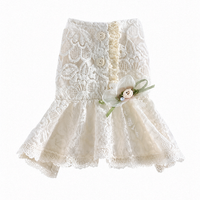 Lace Bridal-Inspired Puppy Gown