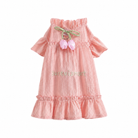 Lace Suspender Mini Dress for Schnauzer