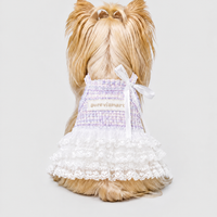 Soft Tulle Suspender Summer Fairy Dress
