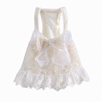 Elegant Lace Suspender Ceremony Pet Dress
